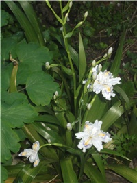 caee58e9-Picture 009.jpg